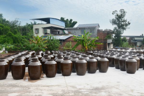 下饭菜灵魂——泡菜坛泡出来的四川泡菜
